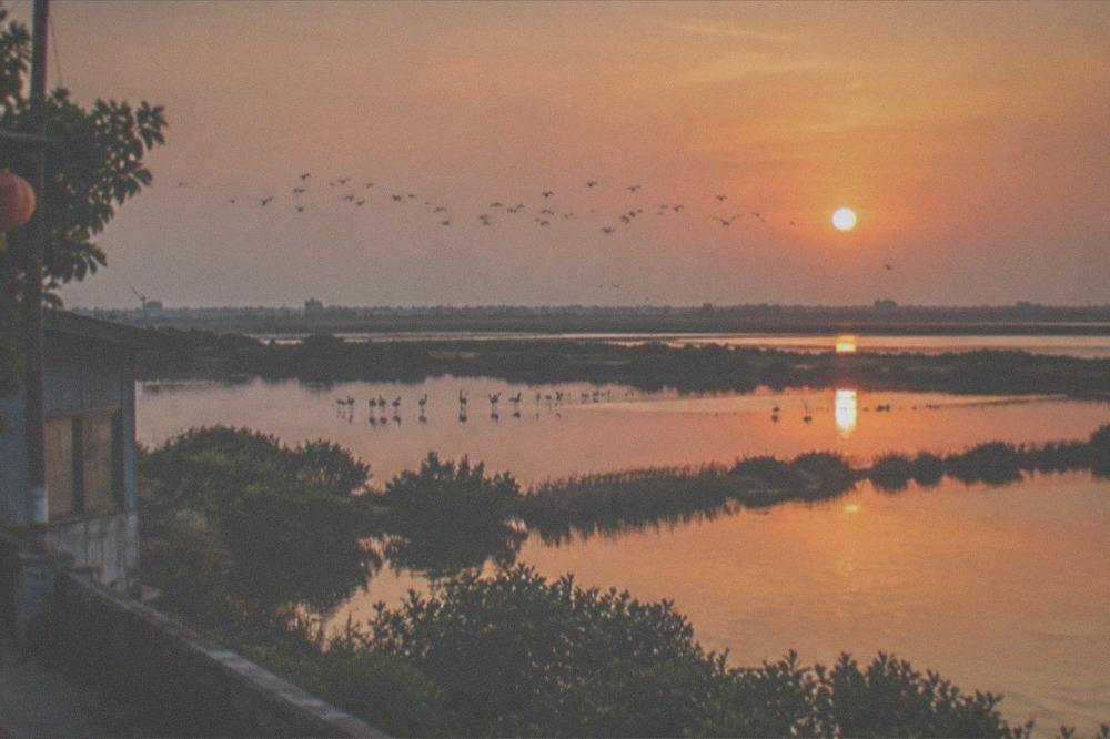 Wetlands at sunset with still water reflecting an orange sky and distant flocks of birds