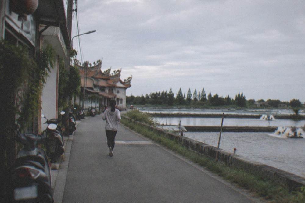 A flat coastal road running between fishponds toward a distant treeline under a wide sky