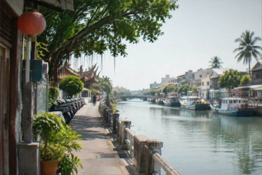 A canal-side path in warm afternoon light, with palm trees, calm water and a clear sky