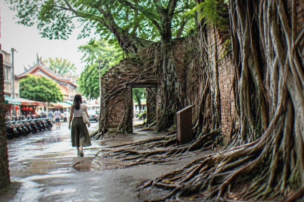 Entrance area of the Anping Tree House historic site in daytime