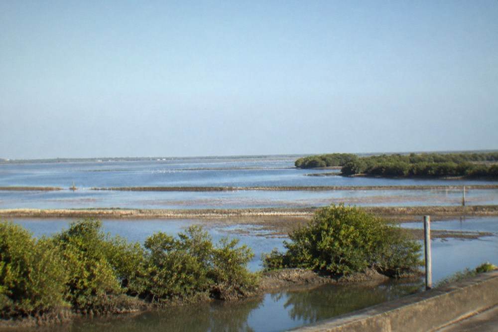 Wide view of Qigu wetlands with fish ponds, mangroves and a distant estuary under a clear sky