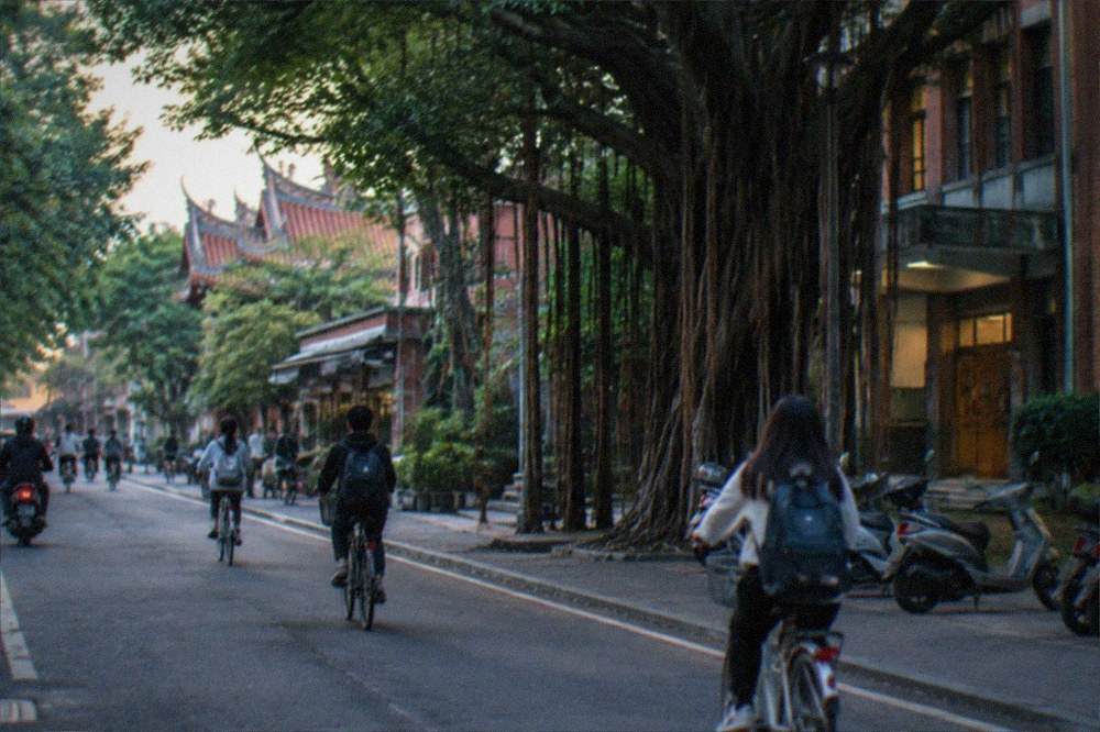 Students cycling along a tree-lined campus road in morning light