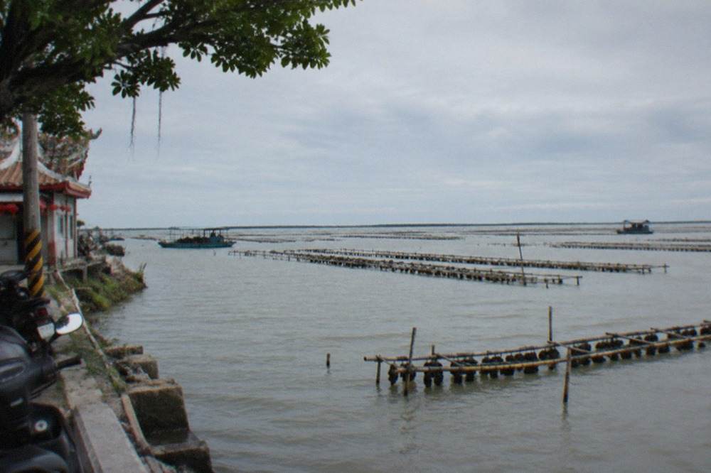 Oyster rafts floating on the wide open water of Qigu Lagoon under a bright sky
