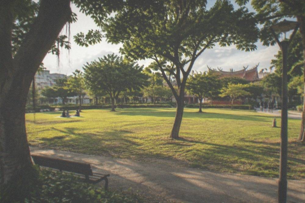An open park lawn in warm late-afternoon light with scattered trees and a path