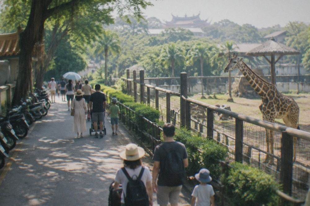 Families walking along a shaded path beside animal enclosures at a safari zoo in Taiwan