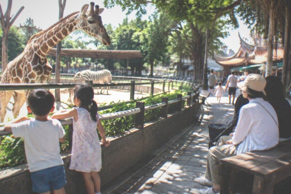 Children looking at animals from a fence line while adults rest on a bench nearby