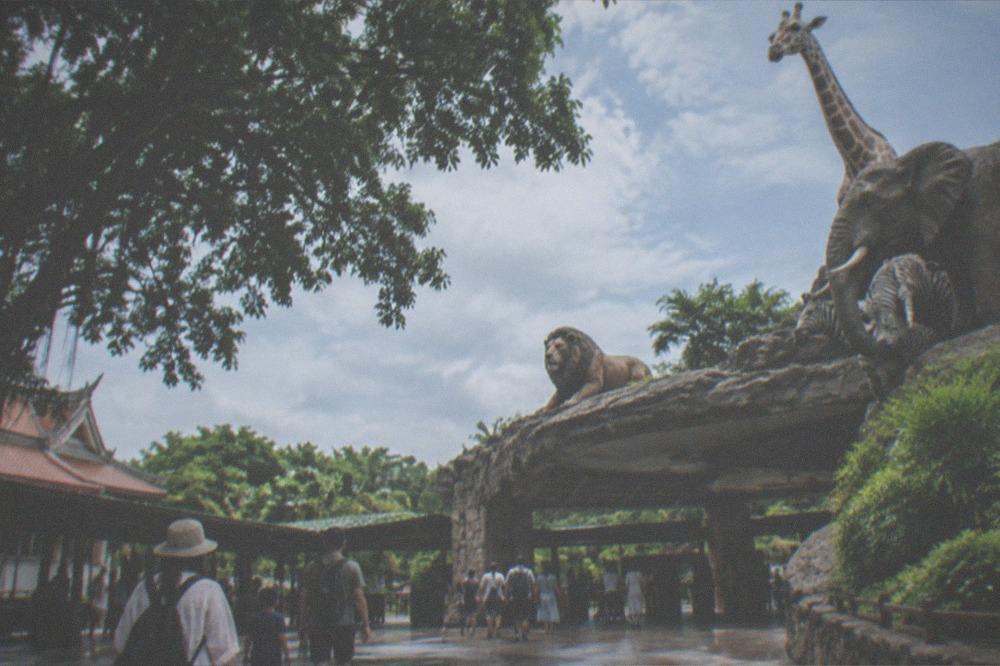 A safari park entrance plaza with shaded walkways and visitors arriving in the morning