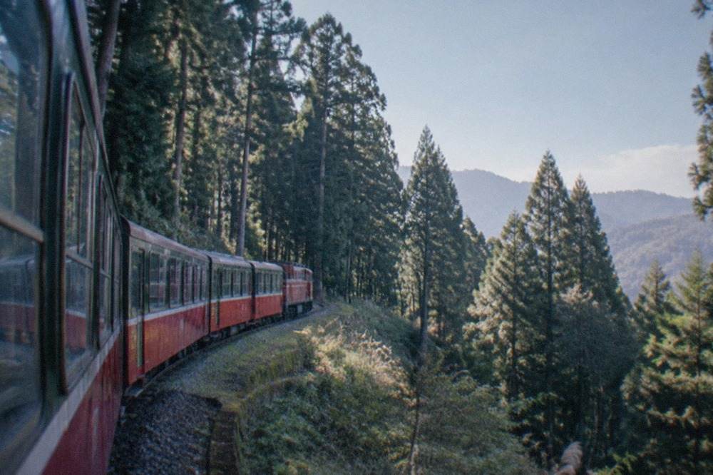 A red and green forest railway train curving through tall cypress trees on a mountain slope