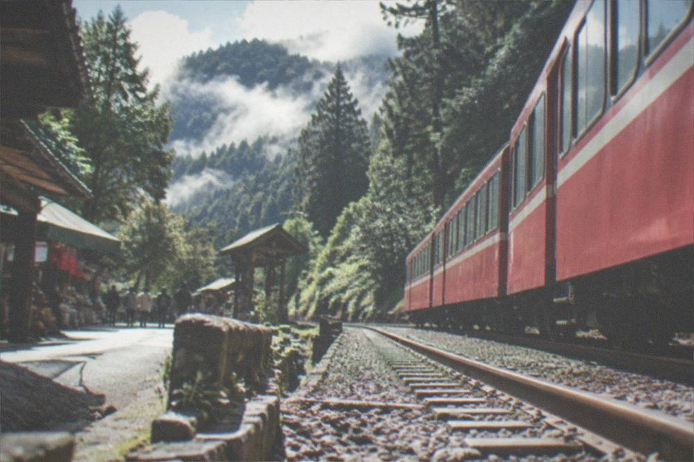 A narrow mountain road and rail line winding through dense green forest in Alishan