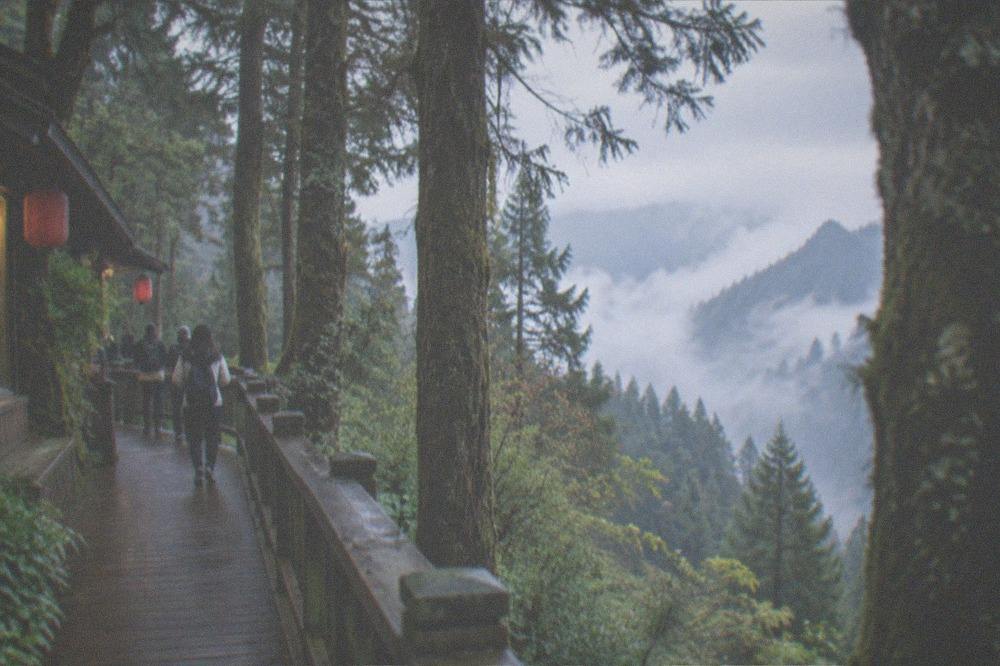 Wooden boardwalk trail curving through tall moss-covered trees on a mountainside