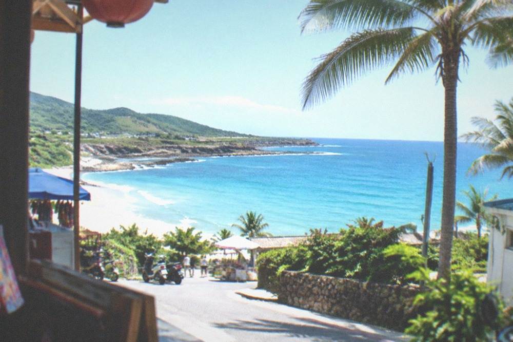 Palm trees and a sandy beach with turquoise water under a clear sky