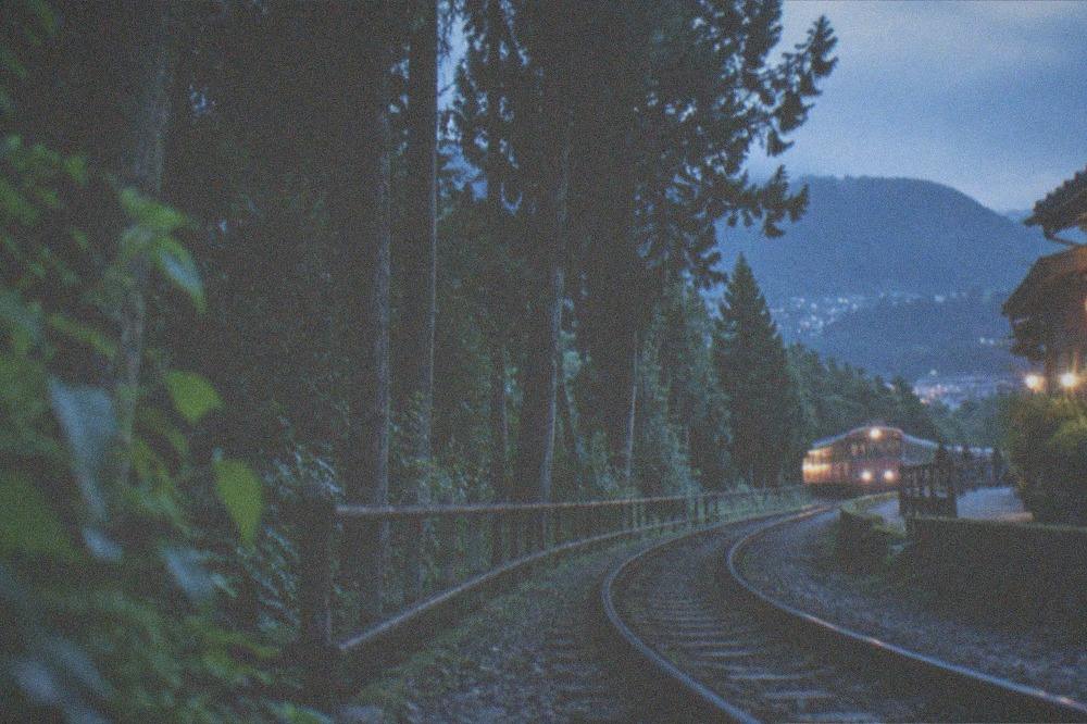 Mountain railway winding through tall cypress forest in Taiwan