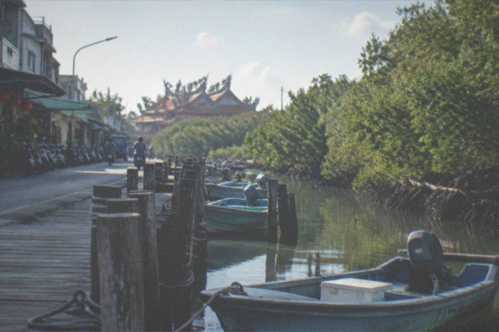 Small open boats moored at a wooden jetty beside mangrove trees