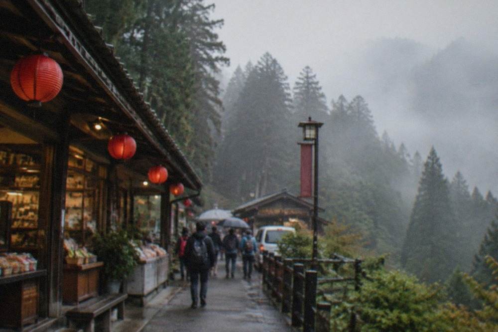 Mountain forest with tall cypress trees and mist between the trunks