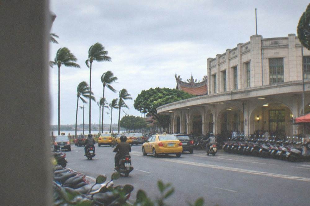 Palm trees bending under strong wind along a Tainan waterfront