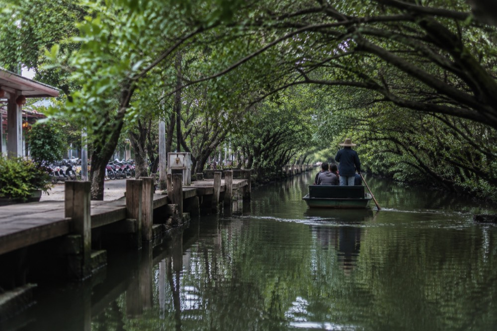 Wooden jetty and green mangrove water along the Sicao Green Tunnel boat route