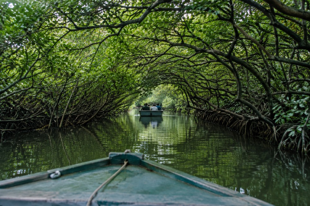 Small boat entering a narrow green mangrove tunnel on the Tainan lagoon